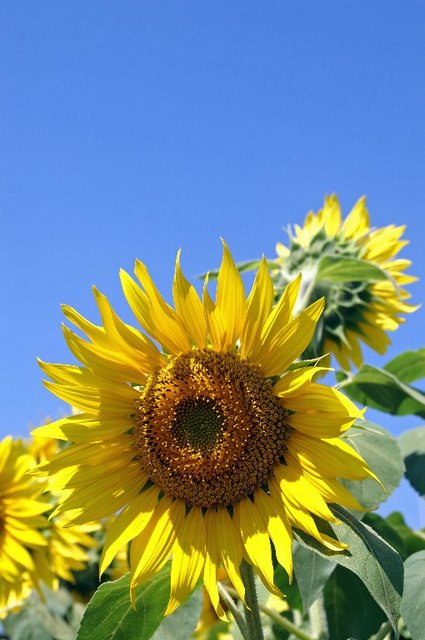 20070812_yamanashitrip_0051
